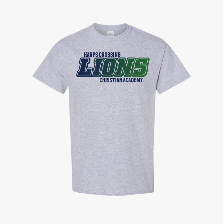 Lions Gradient