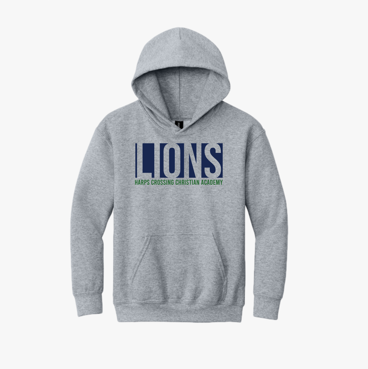 Lions Hoodie Youth