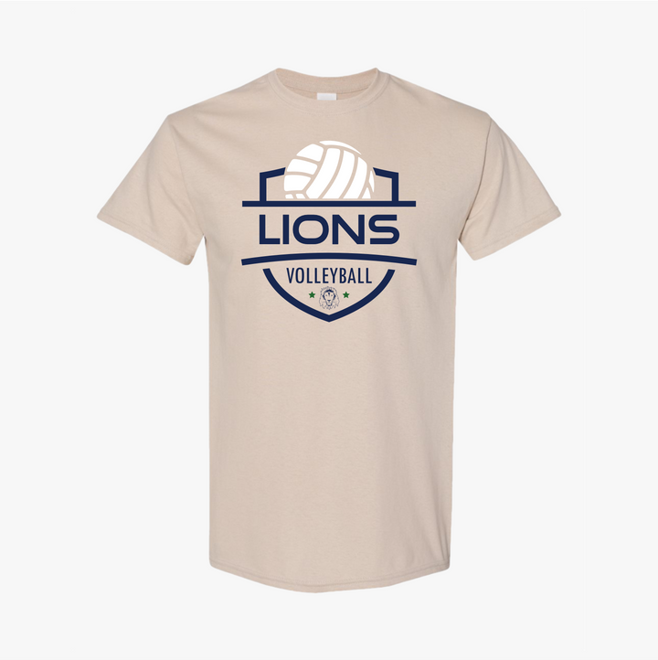 Volleyball 4
