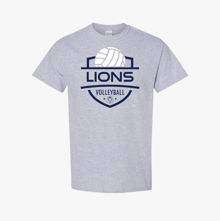 Volleyball 4