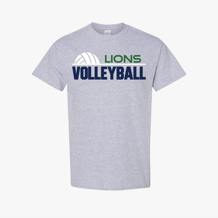 Volleyball 5